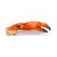 Crustáceos
