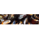 Conchas