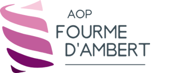 https://www.fourme-ambert.com/