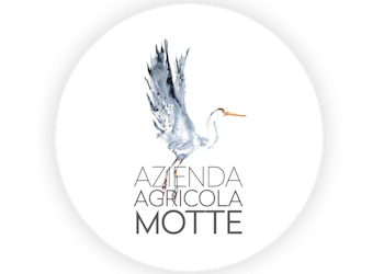 Azienda Agricola Motte